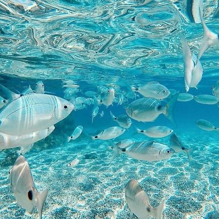 Ferienwohnung El Playaiso De Aguamarga Agua Amarga  Exterior foto